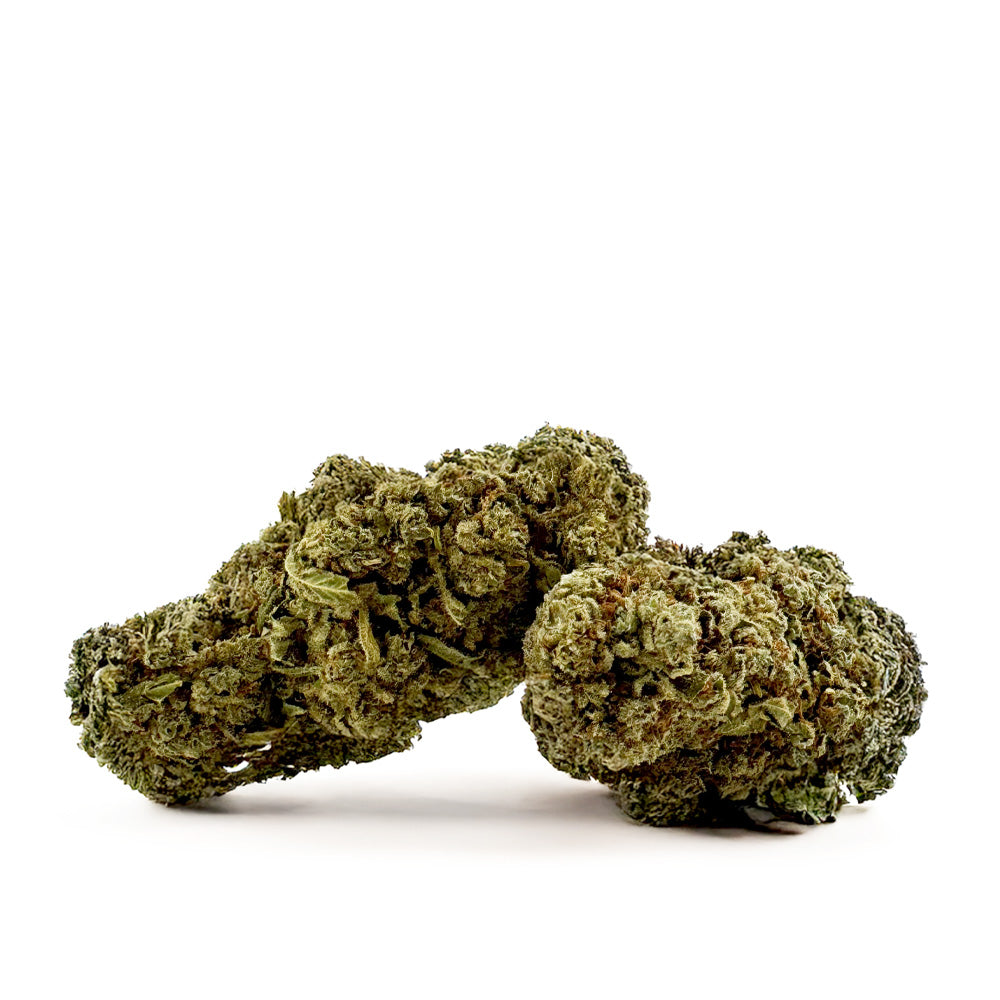 Citrus OG - Indoor