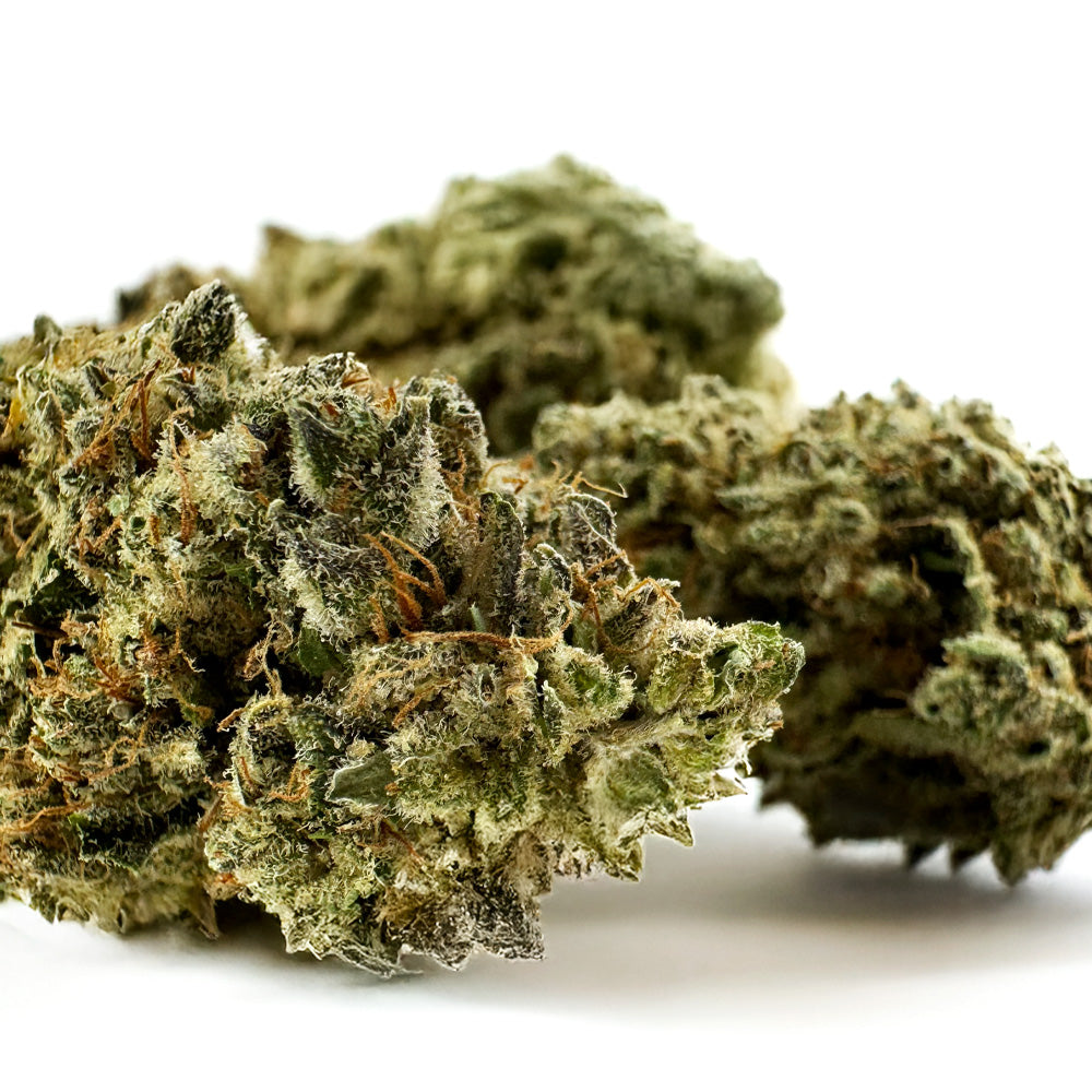Gushers CBD - Indoor