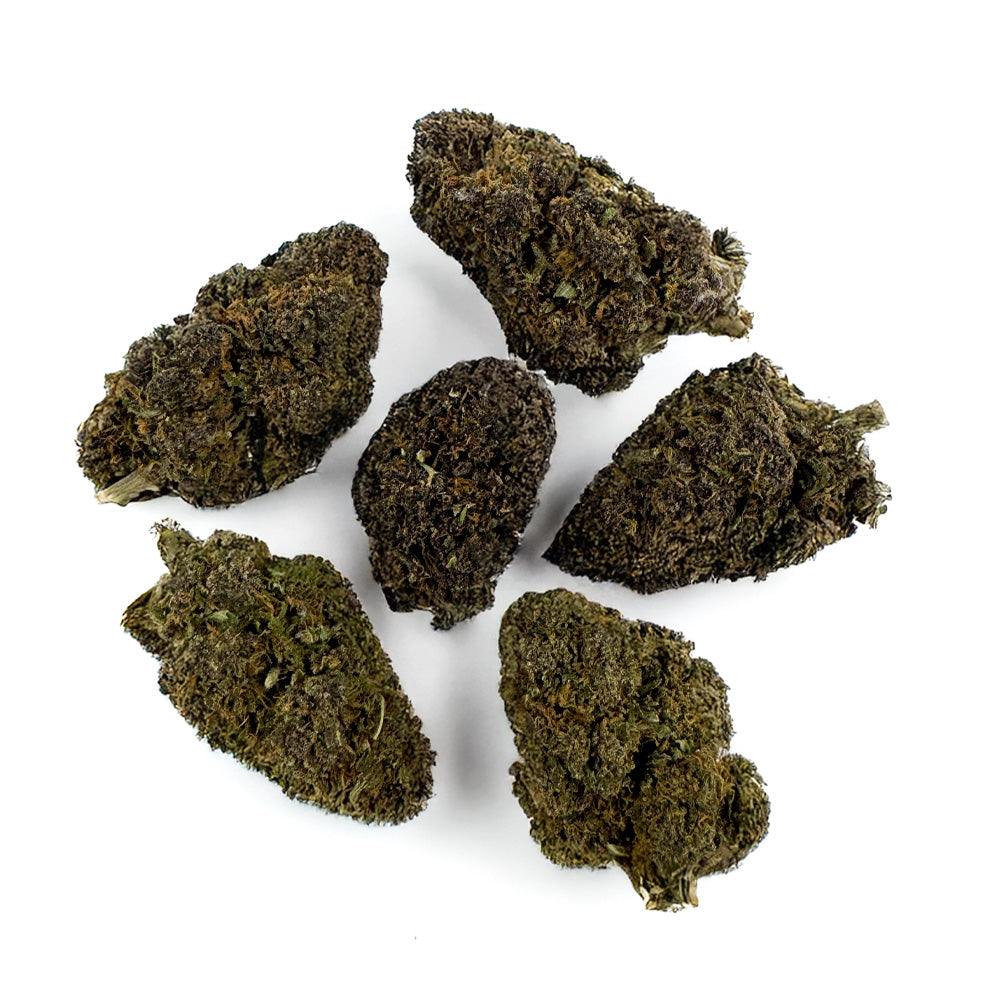 Legendary Platinium - Hybride USA