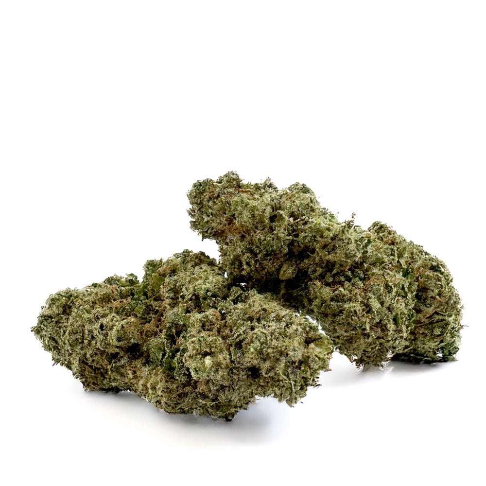 Plutonium - Indoor