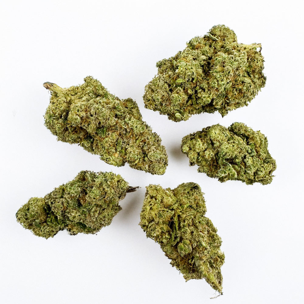 Zoap CBD - Indoor