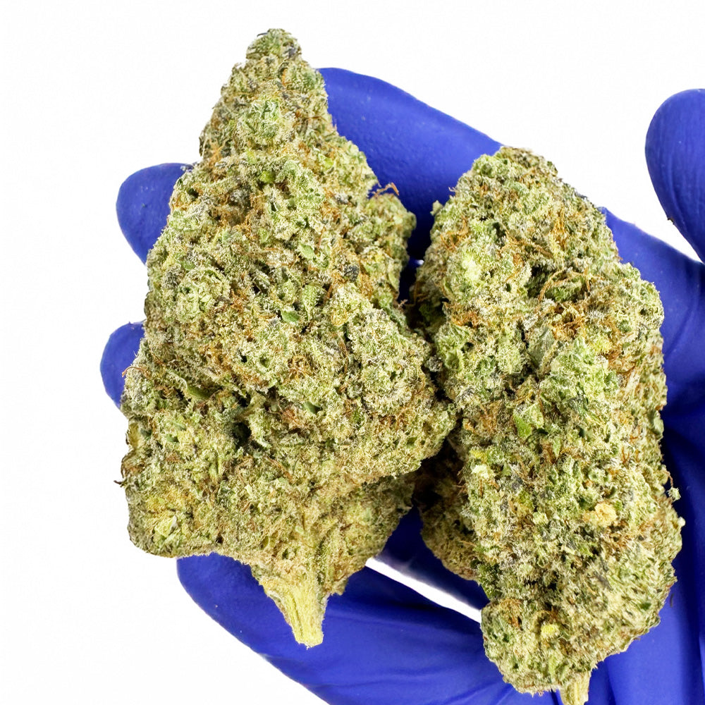 Zoap CBD - Indoor