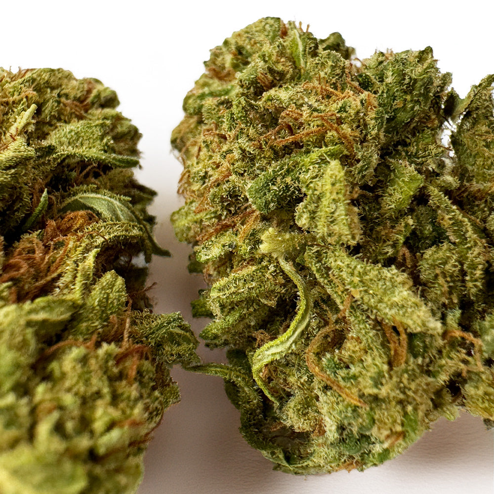 Amnesia Core Cut - Hybride USA