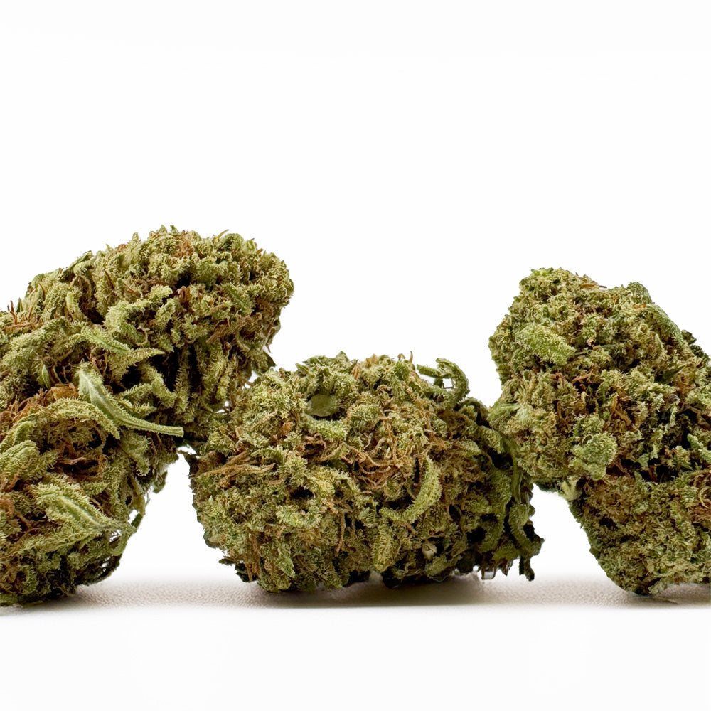 Amnesia Core Cut - Hybride USA