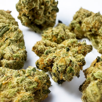 Small buds Amnesia JSH - Indoor