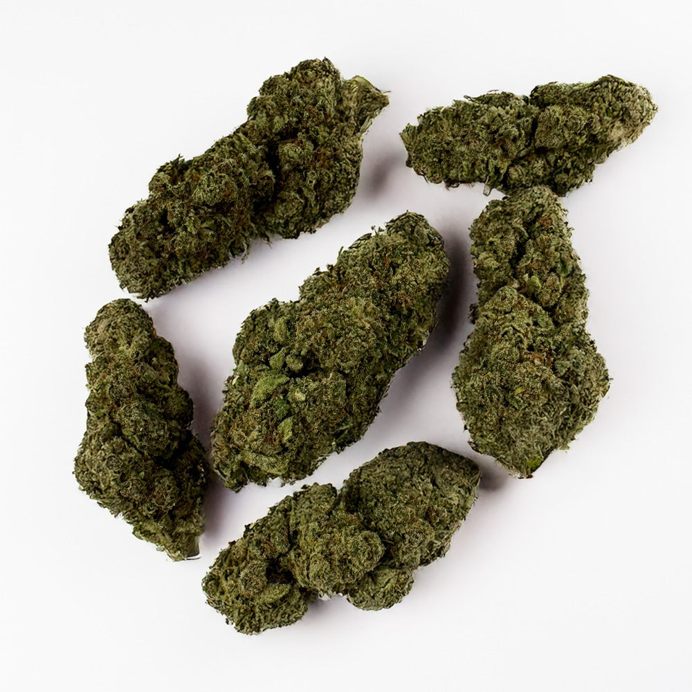 Apple Pie - Indoor