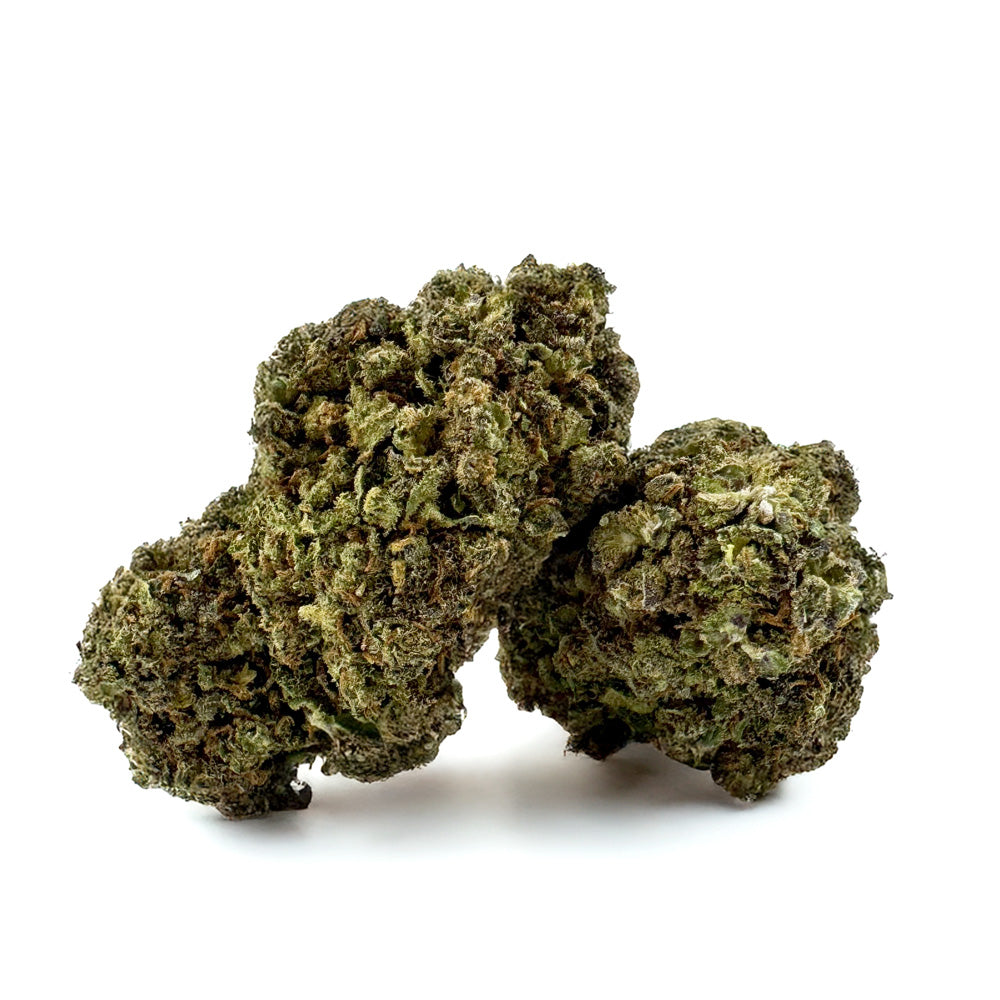 Blueberry Muffin #B2 CBD - Indoor