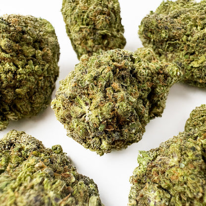 Blueberry Muffin #B2 CBD - Indoor