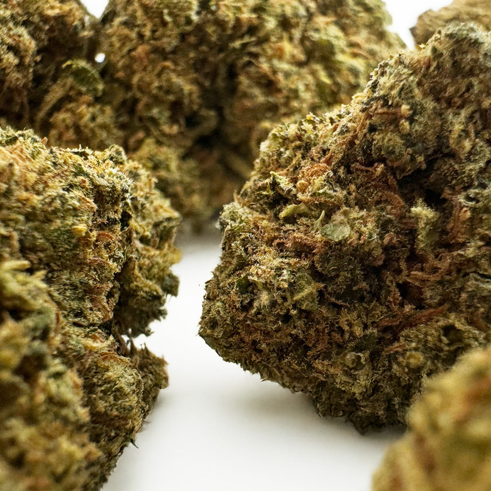 Blue Cake CBD - Indoor