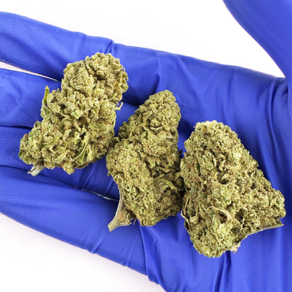 Bubblegum - Greenhouse