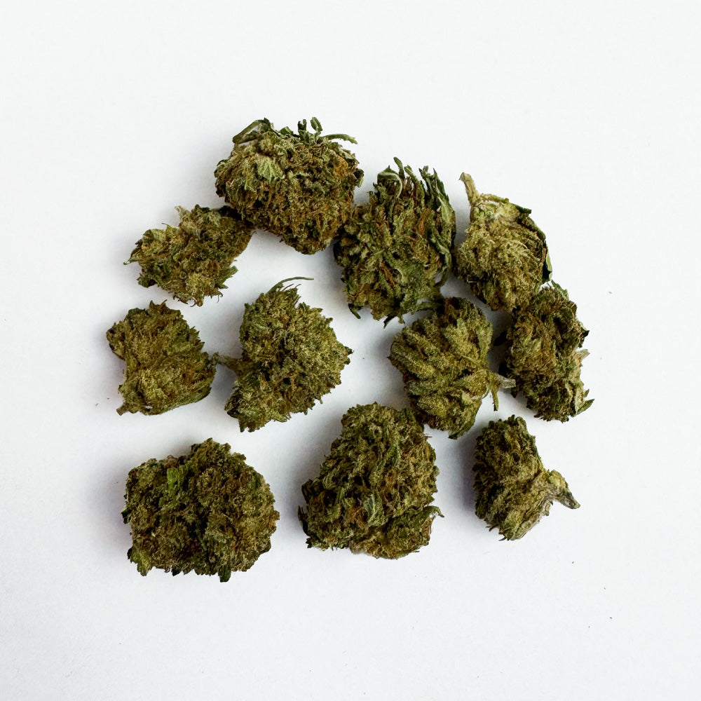Small buds Critical Berry - Hybride