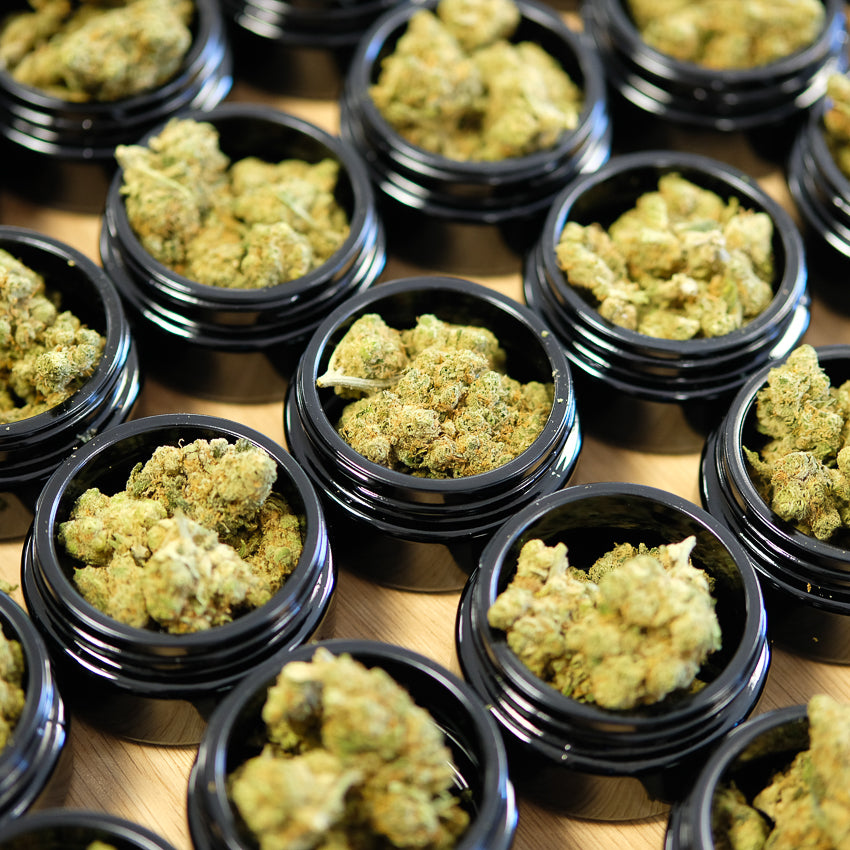 Pleins de grinders remplis de têtes de cbd