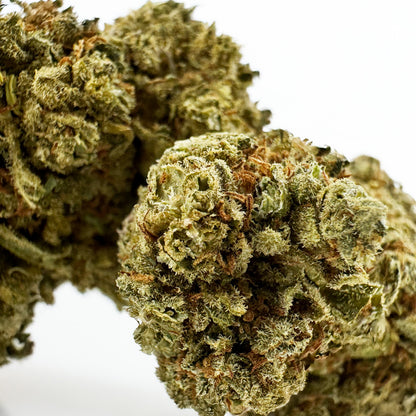 Citrus OG - Indoor — photo 4