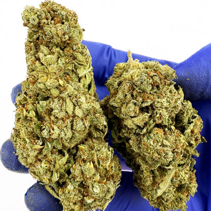 Citrus OG - Indoor — photo 7