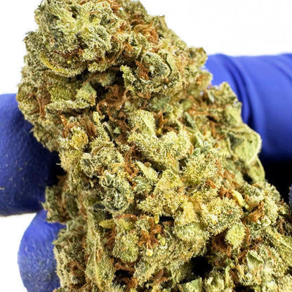 Citrus OG - Indoor — photo 8