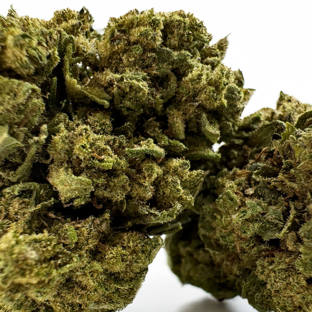 Gorilla Glue - Greenhouse