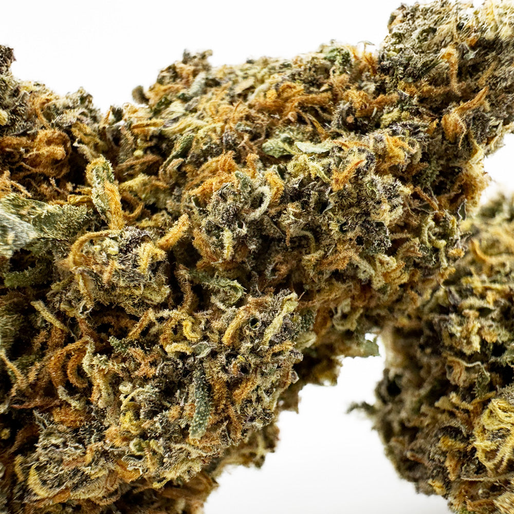 Grapefruit - Hybride USA