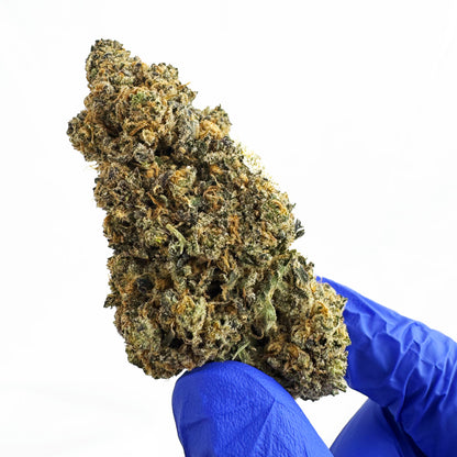 Grape Soda — fleur de CBD macro 4