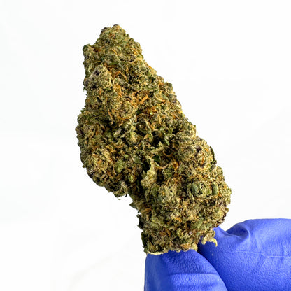 Guana Ice — fleur de CBD macro 4