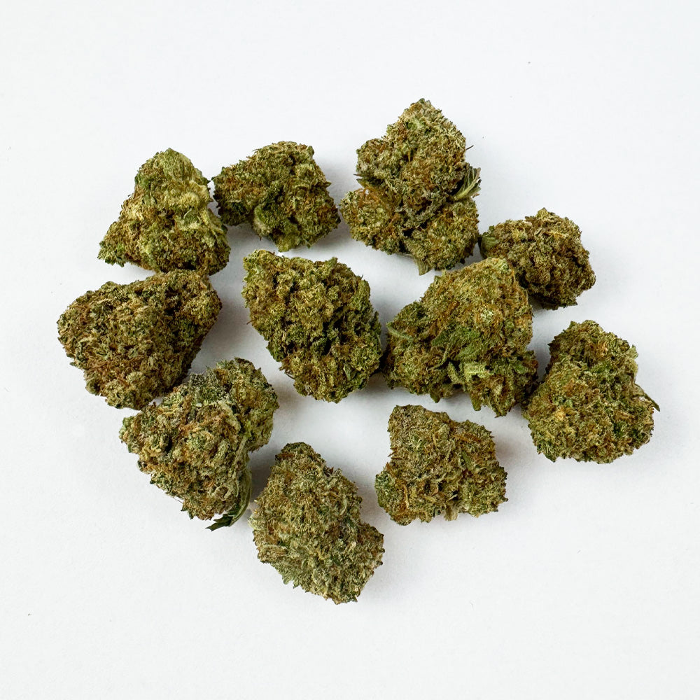 Small buds HQ Limo - Indoor