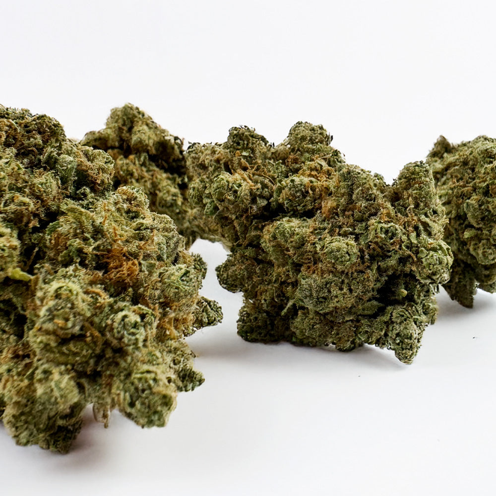 Lemon Haze HT CBD - Indoor