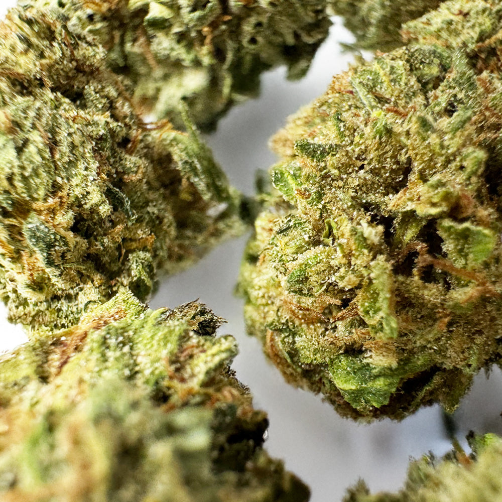 Small buds Lemon OG - Hybride