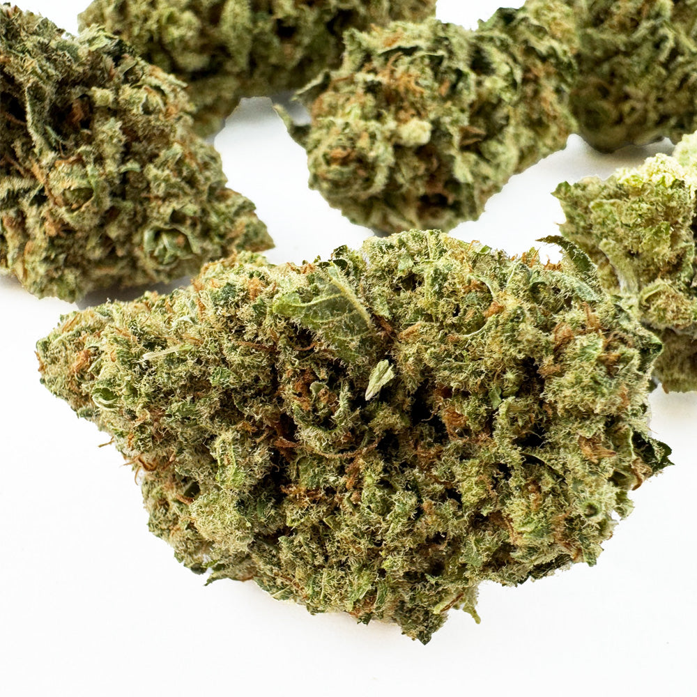 Lemon Meringue — fleur de CBD macro 4