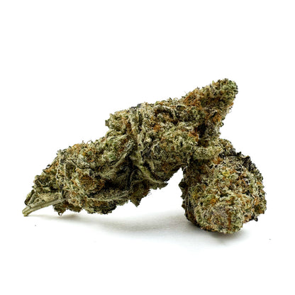 Malabar X Zoap CBD - Indoor