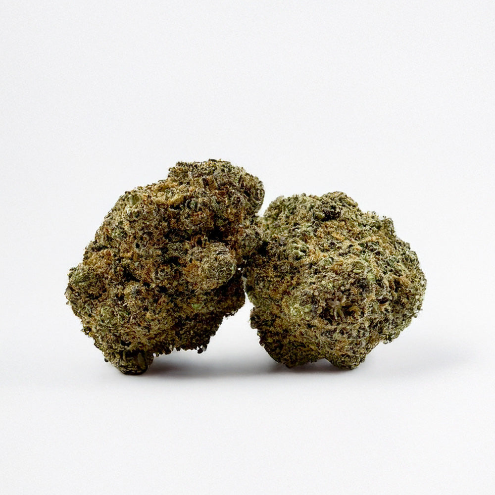 Maui - Indoor