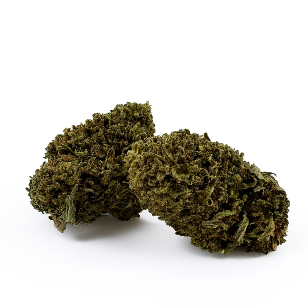 Passion Kush - Hybride USA