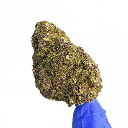 Slushie — fleur de CBD macro 6