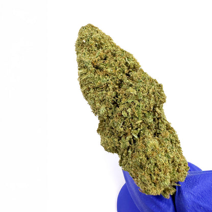 Super Special Sauce - Indoor USA