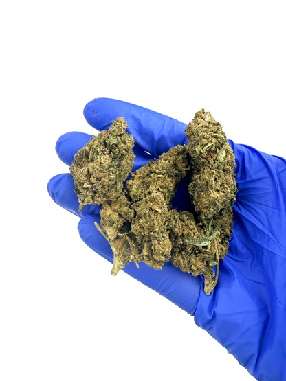 Super Skunk - Greenhouse — photo 4