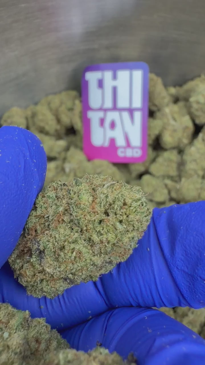 Charger la vidéo: Fruity Pebbles - Indoor Elite USA — vidéo de présentation