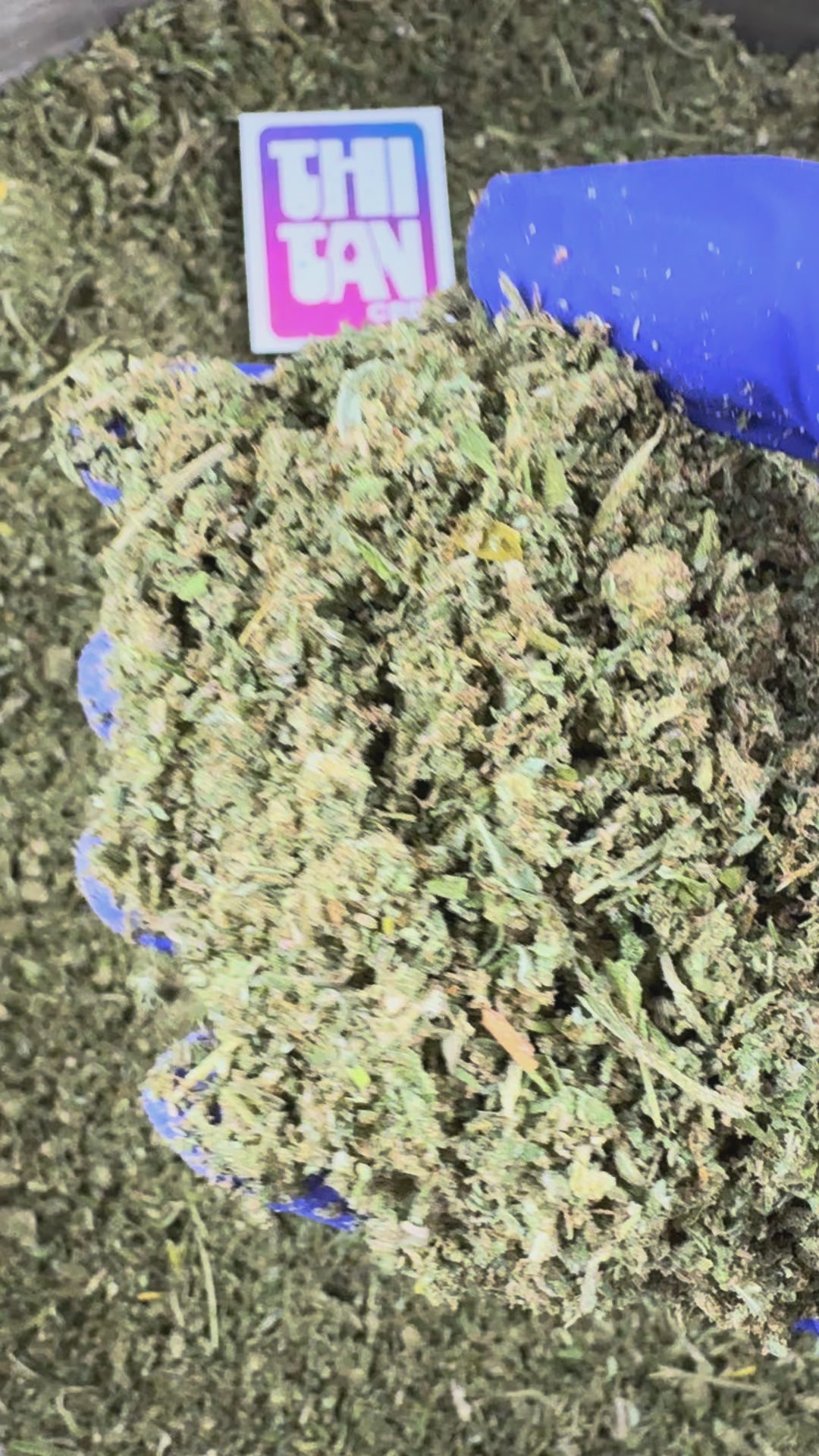 Charger la vidéo: Vidéo de présentation de la Trim A++ Hybride USA