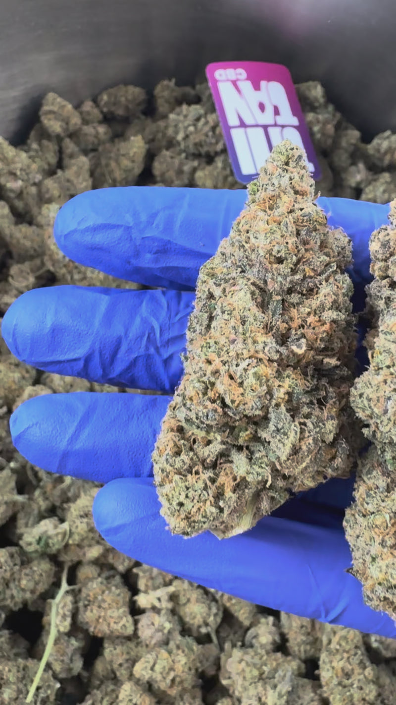 Grape Soda — vidéo de présentation