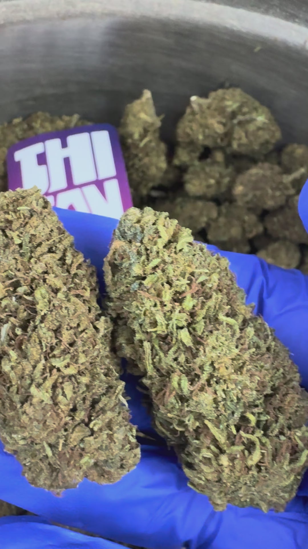 Charger la vidéo: Passion Kush — vidéo de présentation